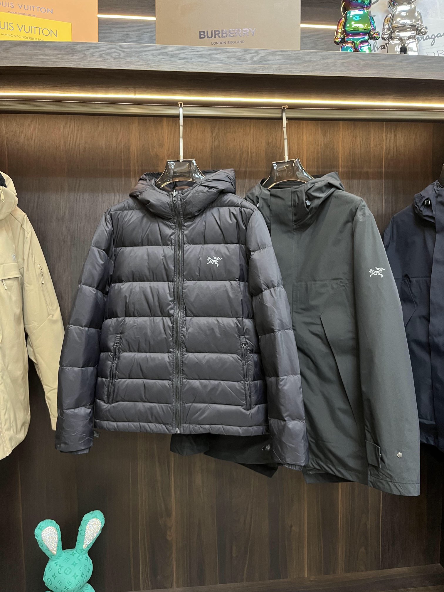 Arcteryx Down Jackets